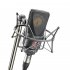 Микрофон NEUMANN TLM 103-MT-Set фото 2
