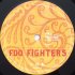 Виниловая пластинка Foo Fighters SKIN AND BONES (180 Gram) фото 4