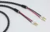 Акустический кабель DH Labs Prelude Cryo speaker cable single wire(2x2), z-plug 3 m фото 3