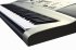 Клавишный инструмент Yamaha PSR-R300 фото 3