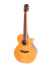 Акустическая гитара Parkwood PW-570 (чехол в комплекте) фото 1