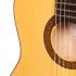Классическая гитара Hora N1105CTW Flamenco CTW фото 2