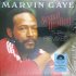 Виниловая пластинка Sony Marvin Gaye Sexual Healing: The Remixes (Limited Red Smoke Vinyl) фото 7