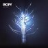 Виниловая пластинка RIOPY - Tree of Light (2019) фото 1