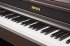 Цифровое пианино Becker BAP-72R фото 2