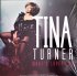 Виниловая пластинка Tina Turner – Whats love ? 93 (Black Vinyl LP) фото 5