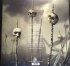 Виниловая пластинка Sony Nevermore This Godless Endeavor (2LP+CD/180 Gram/Gatefold/+Poster) фото 9