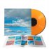 Виниловая пластинка Thirty Seconds To Mars -Its The End Of The World But Its A Beautiful Day (Opaque Orange Vinyl LP with Art) фото 2