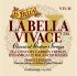 Струны для классической гитары La Bella VIV-H Vivace фото 1