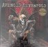 Виниловая пластинка Avenged Sevenfold - Hail To The King (Coloured Vinyl 2LP) фото 3