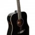 Акустическая гитара Omni D-220 BK фото 3