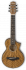 Акустическая гитара Ibanez EWP14WB-OPN фото 1