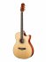 Акустическая гитара Naranda TG220CNA фото 1