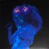 Виниловая пластинка Björk – Biophilia Live (Black Vinyl 3LP) фото 3