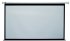 Экран Classic Solution Classic Lyra (16:9) 337x250 (E 329x185/9 MW-M4/W) фото 1