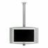 Кронштейн для телевизора SMS Flatscreen CL ST800 (потолочное крепление для телевизоров до 26) фото 1