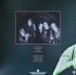 Виниловая пластинка Arch Enemy - Burning Bridges (180 Gram Transparent Green LP) фото 3