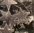 Виниловая пластинка Beach House - Thank Your Lucky Stars (Black Vinyl LP) фото 4