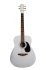 Акустическая гитара MIG Guitars AG2-WH24 фото 1