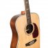 Акустическая гитара Omni D-460S фото 4