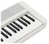 Синтезатор Casio CT-S1-76WE фото 3