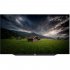 OLED телевизор Loewe bild s.77 graphite grey (60420D51) фото 5