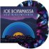 Виниловая пластинка Joe Bonamassa - Live At The Hollywood Bowl With Orchestra (Purple Blue Lagoon Vinyl 2LP) фото 2