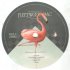 Виниловая пластинка Fleetwood Mac - The Many Faces Of Fleetwood Mac (Marble Vinyl) фото 7