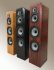 Напольная акустика Legacy Audio Classic HD black oak фото 8
