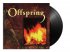 Виниловая пластинка The Offspring - Ignition фото 2