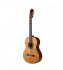 Классическая гитара Prodipe JMFRECITAL300 Recital 300 фото 1