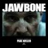Виниловая пластинка PLG Paul Weller Music From The Film Jawbone (180 Gram) фото 1