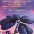 Виниловая пластинка WM SOPRANO, DU PHOENIX AUX ETOILES (Black Vinyl) фото 5