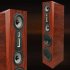 Напольная акустика Legacy Audio Focus XD black oak фото 5