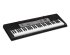 Клавишный инструмент Casio CTK-1500 (без адаптера) фото 3