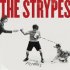 Виниловая пластинка The Strypes, Little Victories (Vinyl LP) фото 8