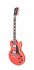 Полуакустическая гитара DAngelico Premier Mini DC FR фото 3