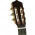 Классическая гитара Kremona RM Rosa Morena Flamenco Series фото 4