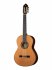 Классическая гитара Alhambra 825-11P Classical Concert 11P (кейс в комплекте) фото 1
