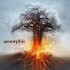 Виниловая пластинка Amorphis — SKYFORGER (2LP) фото 1