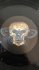 Виниловая пластинка Apocalyptica — CULT (2LP+CD) фото 3