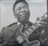 Виниловая пластинка B.B. King - Ladies And Gentlemen... Mr. B.B. King (Black Vinyl 2LP) фото 5