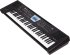 Клавишный инструмент Roland BK-3-BK (дубль) фото 3