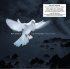 Виниловая пластинка WMC Karl Jenkins The Armed Man: A Mass For Peace (Limited 180 Gram/Gatefold) фото 1