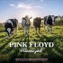 Виниловая пластинка Pink Floyd - Atomized (John Peels Sunday Concert : BBC Paris Theatre London, 19th July 1970) (Coloured Vinyl LP) фото 1