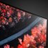 OLED телевизор LG OLED55C9 фото 8