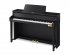 Цифровое пианино Casio Celviano GP-310BK фото 1