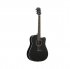 Акустическая гитара Starsun DG220c-p Black фото 1