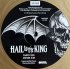 Виниловая пластинка Avenged Sevenfold - Hail To The King (Coloured Vinyl 2LP) фото 11