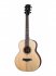 Акустическая гитара Foix ZSG-83M-NA фото 1